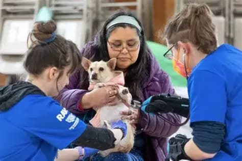 Pet Assistance Programs in the USA: A Practical Guide for Pet Owners